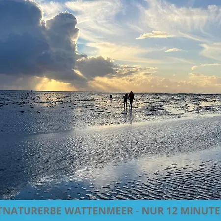 Daire Kuestenkojen Mit 4 Fuer 1 Bis 8 Pers Mit Diversen Schlafzimmern, Garten Oder Balkon